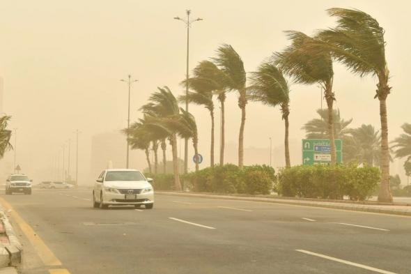 تدني مدى الرؤية.. أتربة مثارة على أجزاء من الشرقية