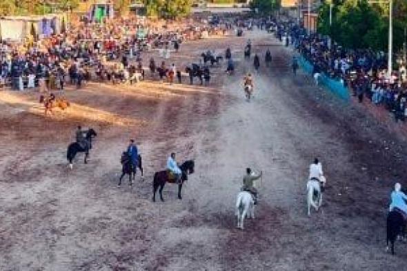 أهالى الأقصر يحتفلون بالمولد النبوى بسباقات خيالة الصعيد.. فيديو