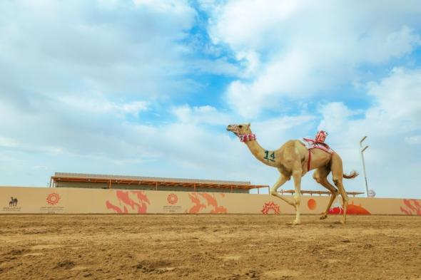 "سبل" يصدر طابعاً بريدياً عن مهرجان ولي العهد للهجن