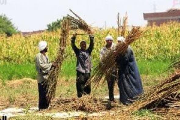 الحرية المصرى: الفلاح صمام أمان للأمن الغذائى وركيزة لدعم الاقتصاد الوطنى