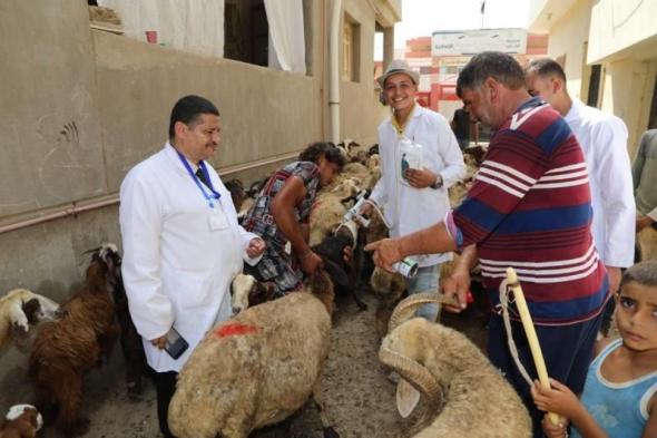 الزراعة احتفالا بعيد الفلاح ”الخدمات البيطرية” تفحص وتعالج 170 الف رأس ماشية...اليوم الثلاثاء، 10 سبتمبر 2024 12:30 مـ   منذ ساعة