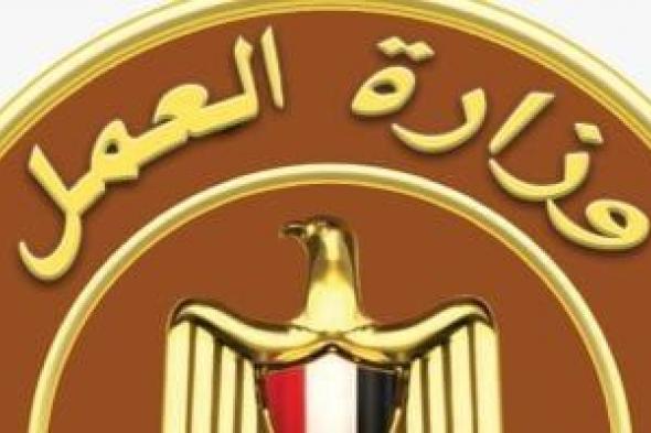 وزارة العمل: برامج تدريبية مجانية لتأهيل الشباب بالوادى الجديد وقنا