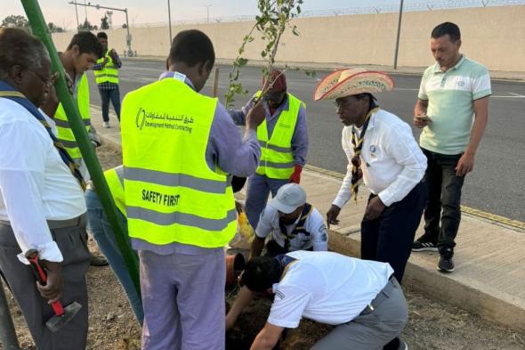 زراعة 3 آلاف شجرة في الطائف ضمن مشروع تشجير الأحياء السكنية