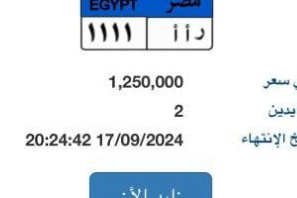 "ر أ أ- 1111" أحدث لوحة مميزة بالمزاد سعرها وصل مليون و250 ألف جنيه