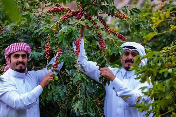 "ريف السعودية" ينظم رحلة ميدانية لتعزيز جودة البن واستكمال تصنيف أشجاره