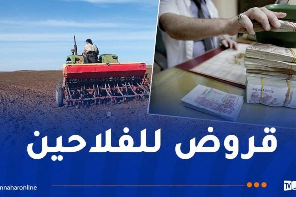 حملة الحرث والبذر.. بيان هام من الديوان المهني للحبوب