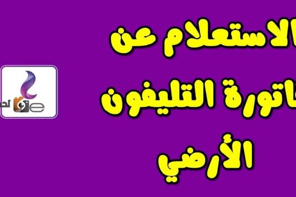 الاستعلام عن قيمة فاتورة التليفون الارضى سبتمبر 2024 عبر موقع الشركة المصرية للاتصالات