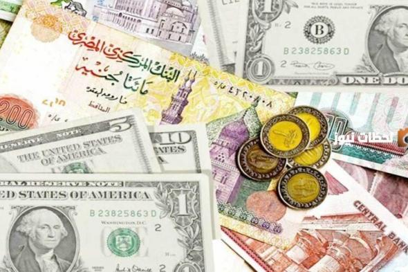 بكم الآن؟ سعر الدولار الأمريكي مقابل الجنيه المصري في السوق السوداء بعد التعويم تجعل الجميع في صدمة