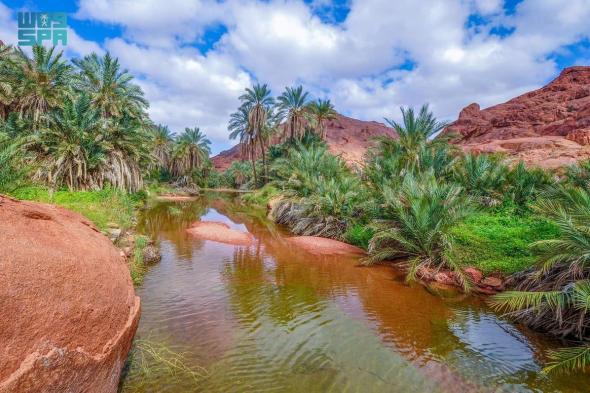 الأجواء الممطرة والضباب تشكّل لوحة إبداعية لـ"حائل في أحضان الطبيعة"