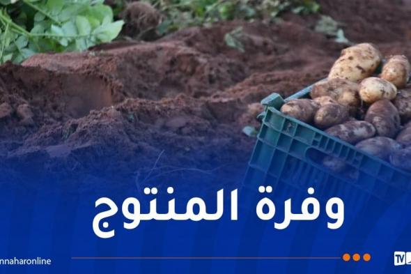 شرفة: دخول كميات معتبرة من البطاطا ما بعد الموسمية الأسواق نهاية نوفمبر