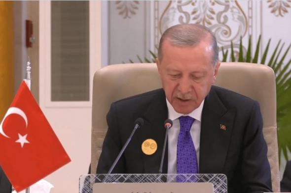 أردوغان: إسرائيل لا تريد تنفيذ حل الدولتين وتسعى لتدمير الوجود الفلسطيني ويجب علينا منعهم