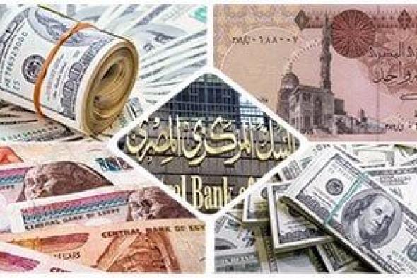 أسعار العملات اليوم الأربعاء 13-11-2024 أمام الجنيه المصرى