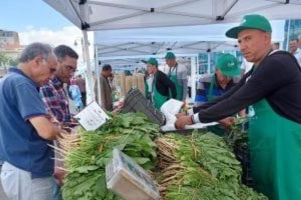 10 معلومات عن سوق اليوم الواحد للمزارعيين.. تجربة رائدة انطلقت من الإسكندرية.. صور