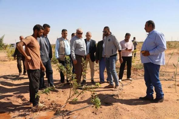 محافظ الوادي الجديد يتفقّد مشروعات الاستثمار الزراعي على طريق موط/ العويناتاليوم الأربعاء، 13 نوفمبر 2024 10:01 صـ   منذ 29 دقيقة