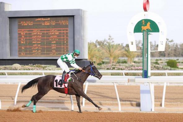 نادي سباقات الخيل ينظم "كأس الوفاء" بالرياض السبت المقبل