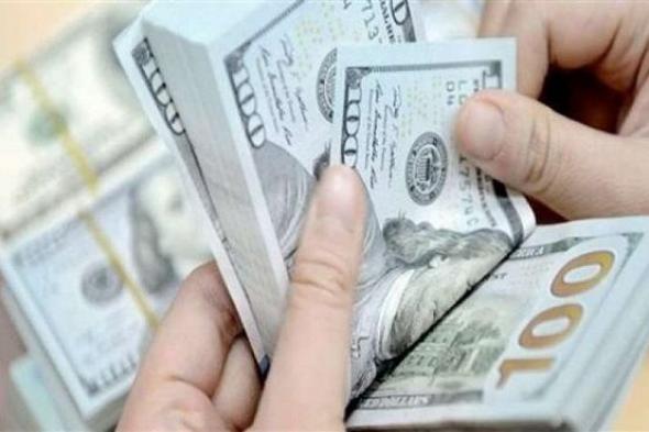 سعر الدولار اليوم الثلاثاء 19-11-2024 في البنوك المصرية