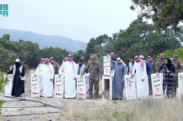 لتعزيز التنوع الأحيائي.. "الحياة الفطرية" تطلق 26 كائنًا مهددًا بالانقراض في متنزه السودة