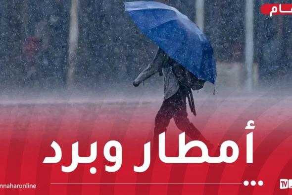 أمطار وبرد شديد على هذه الولايات غدا السبت