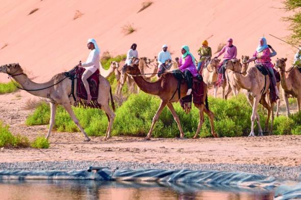 رحلة الهجن تقطع الصحراء الغربية في الطريق إلى وجهتها النهائية