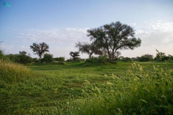 محمية الإمام عبدالعزيز الملكية تشدد على منع التخييم داخل نطاقها