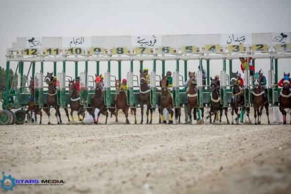 31 جواداً من ميدان الدمام يتأهبون للتأهل للمشاركة في أشواط أبطال الميادين 