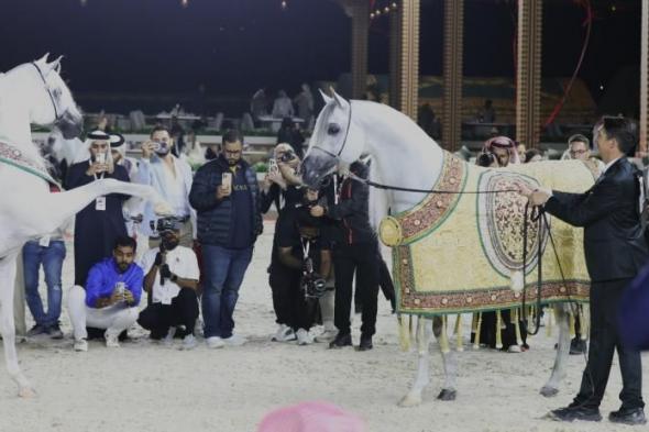 مربط دبي يتألق في جولة الجياد العربية الأولى