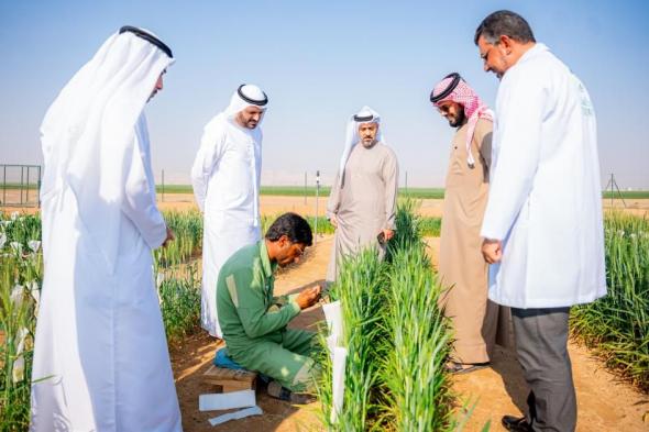 وفد حكومي يطلع على استراتيجية تحسين القمح بالشارقة