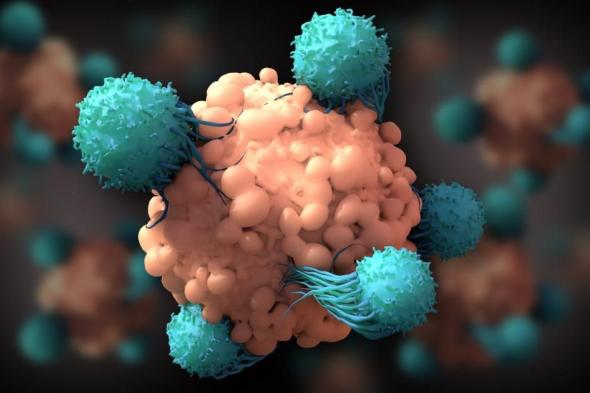تفتيت الأورام.. ثورة منتظرة في علاج السرطان