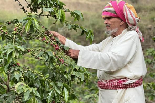 رجال ألمع.. نافذة اقتصادية عززت مكانتها السياحية في عسير