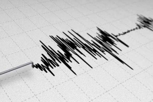 بقوة 4.7 درجة.. زلزال يضرب ولاية غيريرو جنوب المكسيك