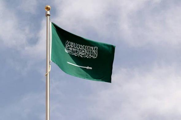 «الإحصاء»: معدل إتمام الدراسة في المرحلة الابتدائية بلغ 99.16% من سكان المملكة