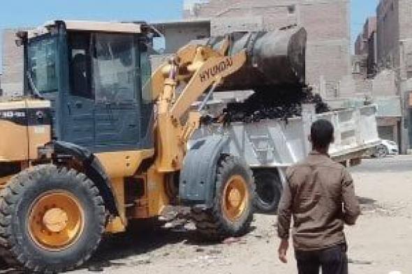 حملات فى قرى مدينة الصف لرفع المخلفات وتجريد الطرق وصيانة الأعمدة استعدادا للعيد