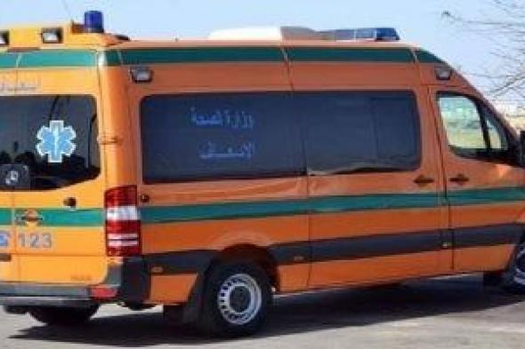 مقتل شاب وإصابة جاره بطعنات في مشاجرة بينهما بسبب رش المياه بالغربية