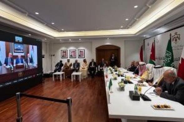 بيان مشترك لأعضاء اللجنة الوزارية المكلّفة من القمة العربية الإسلامية بشأن غزة