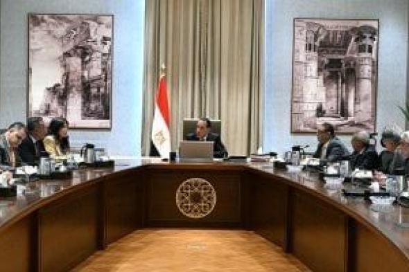 مدبولي: اجتماع أسبوعي لمتابعة احتفالية المتحف المصري الكبير حتى 3 يوليو المقبل
