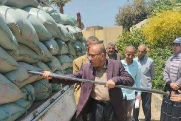 توريد أكثر من 167 ألف طن قمح حتى الآن فى سوهاج
