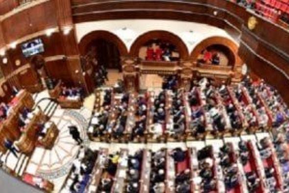 اعرف متوسط التمثيل النيابى لتقسيم الدوائر الانتخابية وفقًا لمشروع القانون