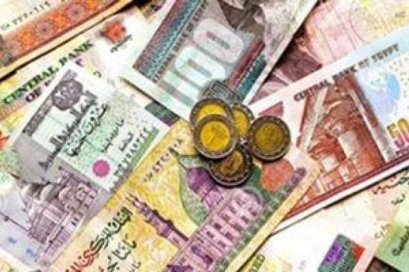 هل تخلى المستخدمون جزئيًا عن الكاش؟.. مؤشرات المحافظ الإلكترونية تجيب