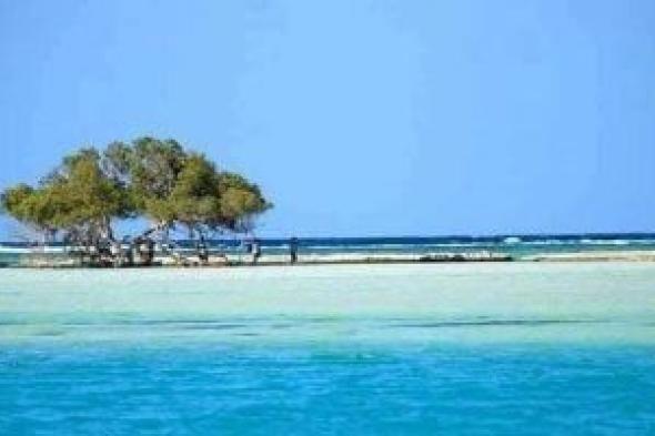 طبيعة تبهر العالم.. محمية وادى الجمال أيقونة السياحة الشاطئية بالبحر الأحمر