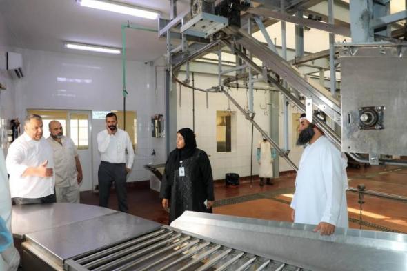 خطة تشغيلية وخدمات متكاملة من بلدية دبا الحصن
