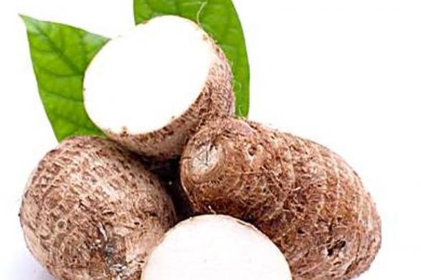 فوائد القلقاس: