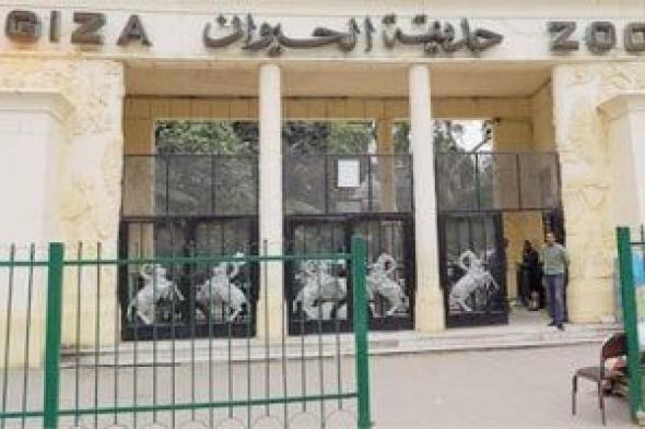التحالف الوطنى لتطوير حديقة الحيوان: ​إنشاء صيدلية بيطرية ومناطق لتجهيز الوجبات