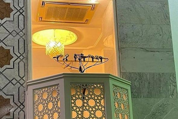 16 خطيبًا لعرفة في 100 عام.. تاريخ بدأه "ابن عبداللطيف" وأختتم بـ "ابن حميد"