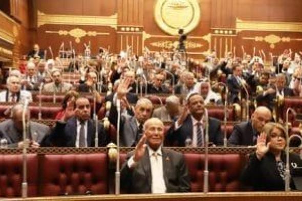 مالية الشيوخ": 1.15 تريليون جنيه استثمارات عامة مستهدفة فى 2025/2026