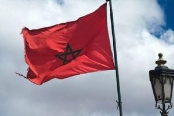 المغرب نائبا لرئيس الفريق الدولى لخبراء الإنتربول فى الجرائم السيبرانية