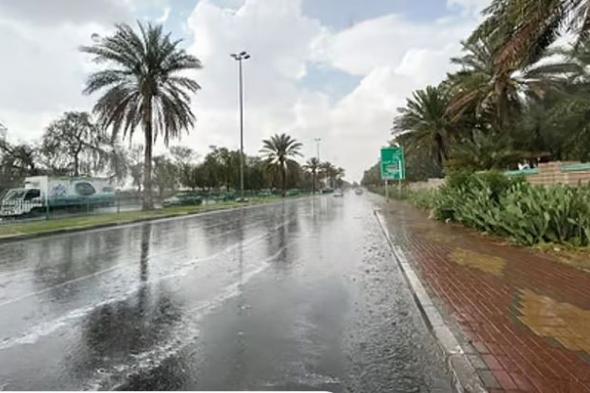 «الأرصاد»: أمطار متوسطة على منطقة عسير ورياح شديدة بمحافظة العرضيات