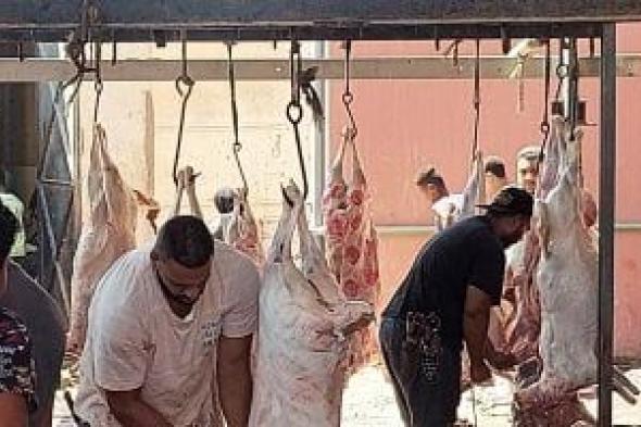 بعد منع ذبح الأضاحى.. مهن موسمية تغيب عن المغرب فى عيد الأضحى
