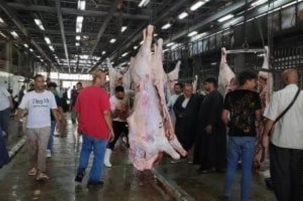 المشرف على مجزر البساتين يوضح نصائح هامة قبل تخزين اللحوم