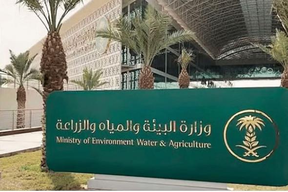 قرار رخص الحواجز وخلجان تجميع مياه الأمطار والسيول.. مسؤول يوضح السبب