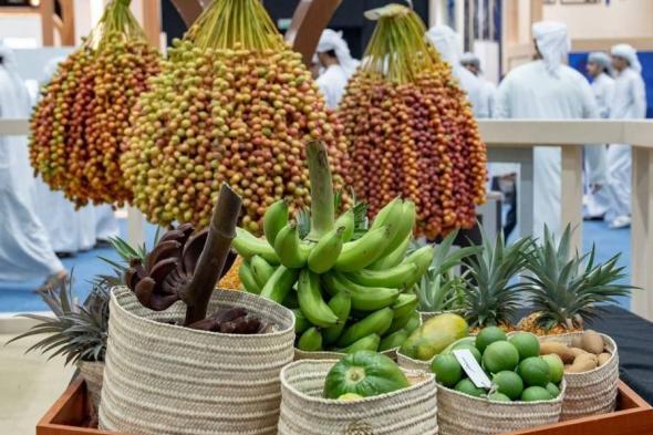 مهرجان ليوا للرطب يستقطب 144.6 ألف زائر